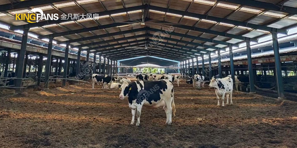 牛場工業大風扇