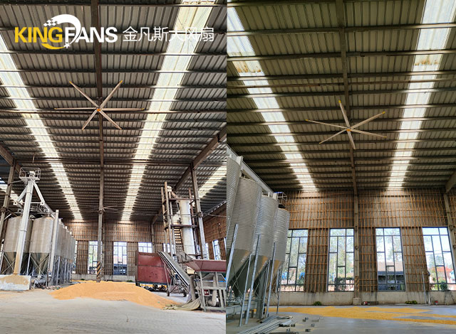 養殖場永磁大吊扇通風 